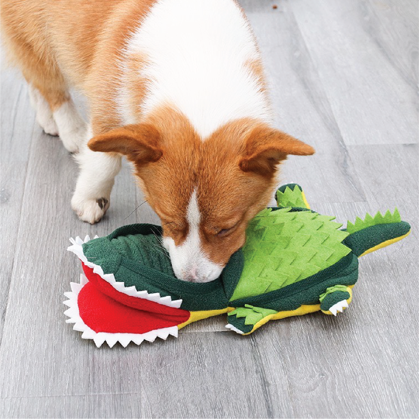 Pawsitivity's Snuffle Adventure Pet Toy: It's a key to your pet's well-being. Beyond the joy, it offers mental stimulation, physical exercise, and positive reinforcement. Rich in areas to hide treats, it turns every mealtime into a satisfying and engaging experience, keeping your pet happy and healthy.