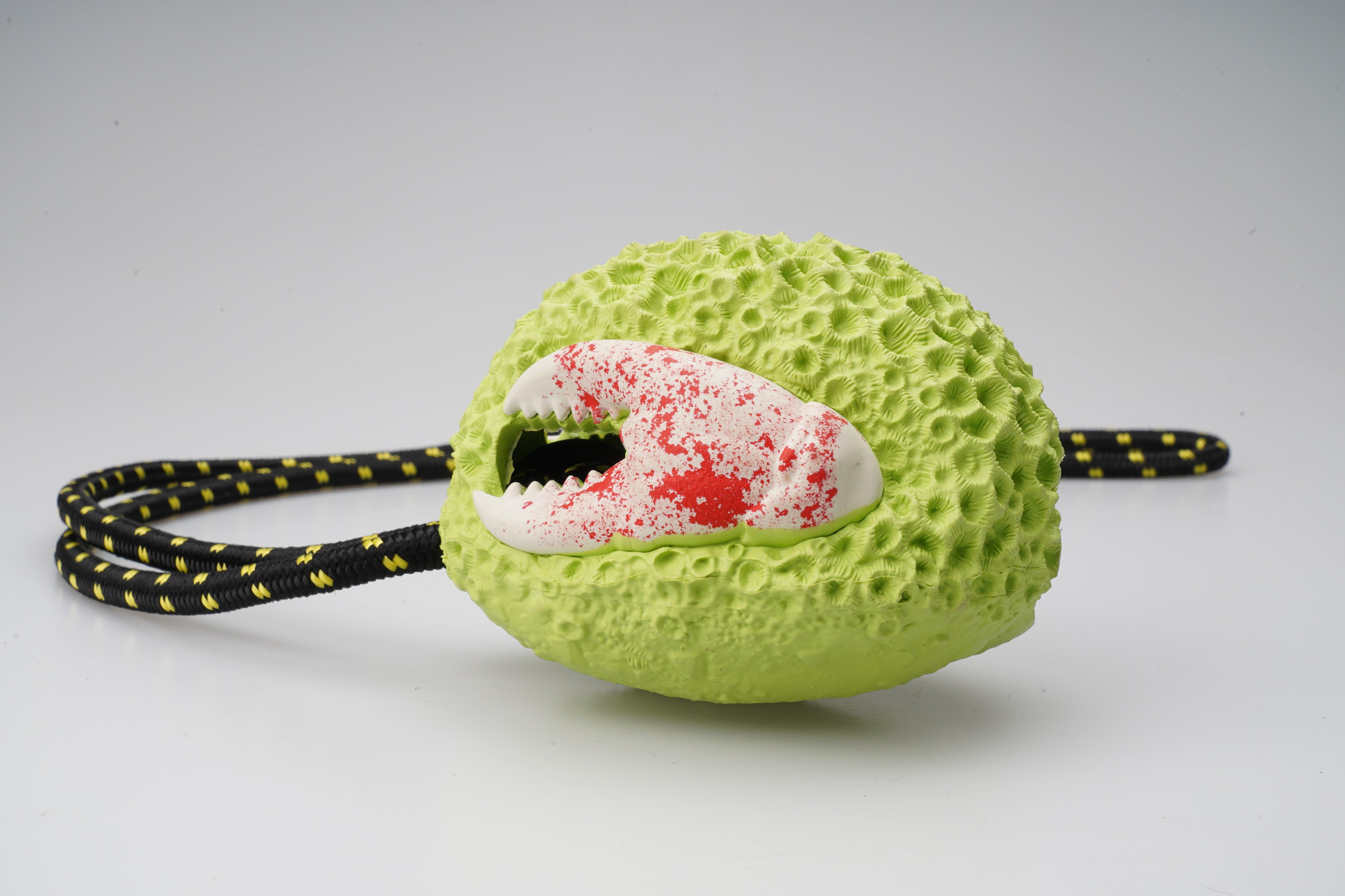 Pawsitivity's Snuffle Adventure Pet Toy: It's a key to your pet's well-being. Beyond the joy, it offers mental stimulation, physical exercise, and positive reinforcement. Rich in areas to hide treats, it turns every mealtime into a satisfying and engaging experience, keeping your pet happy and healthy.