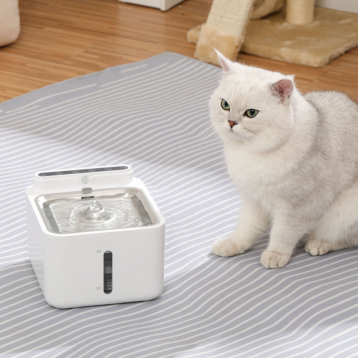 Wireless Quite Intelligent Automatic Sensing Pet Water Fountain