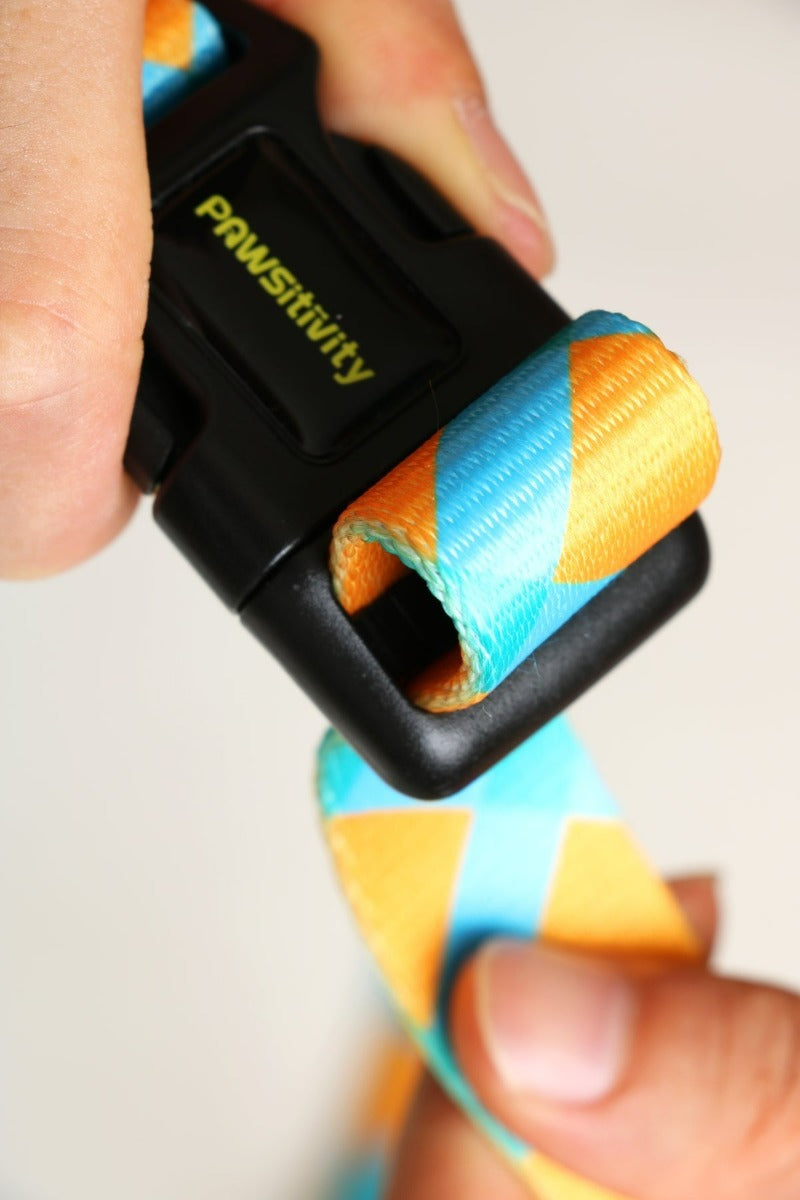 Premium Pet Supply Shop - Pawsitivity's Citrus Sky Hands-Free Dog Leash - Versatile Four Usage Options, Cushioned Spring Design, Sturdy Buckle, Comfortable Handle, Perfect for Active Dog Walking. Shop Now!