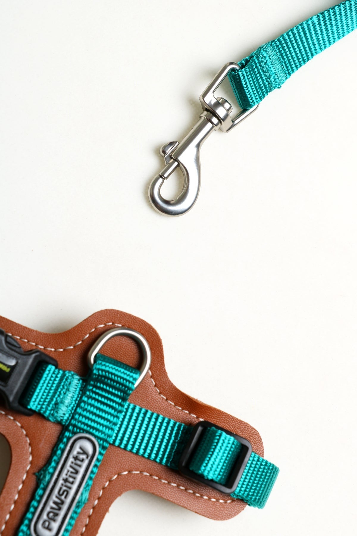 Pawsitivity's Comfortable Cat Harness and Leash Set - Teal Green Color, Designed with Leather Elements to Minimize Friction and Provide a Pleasurable Walking Experience.