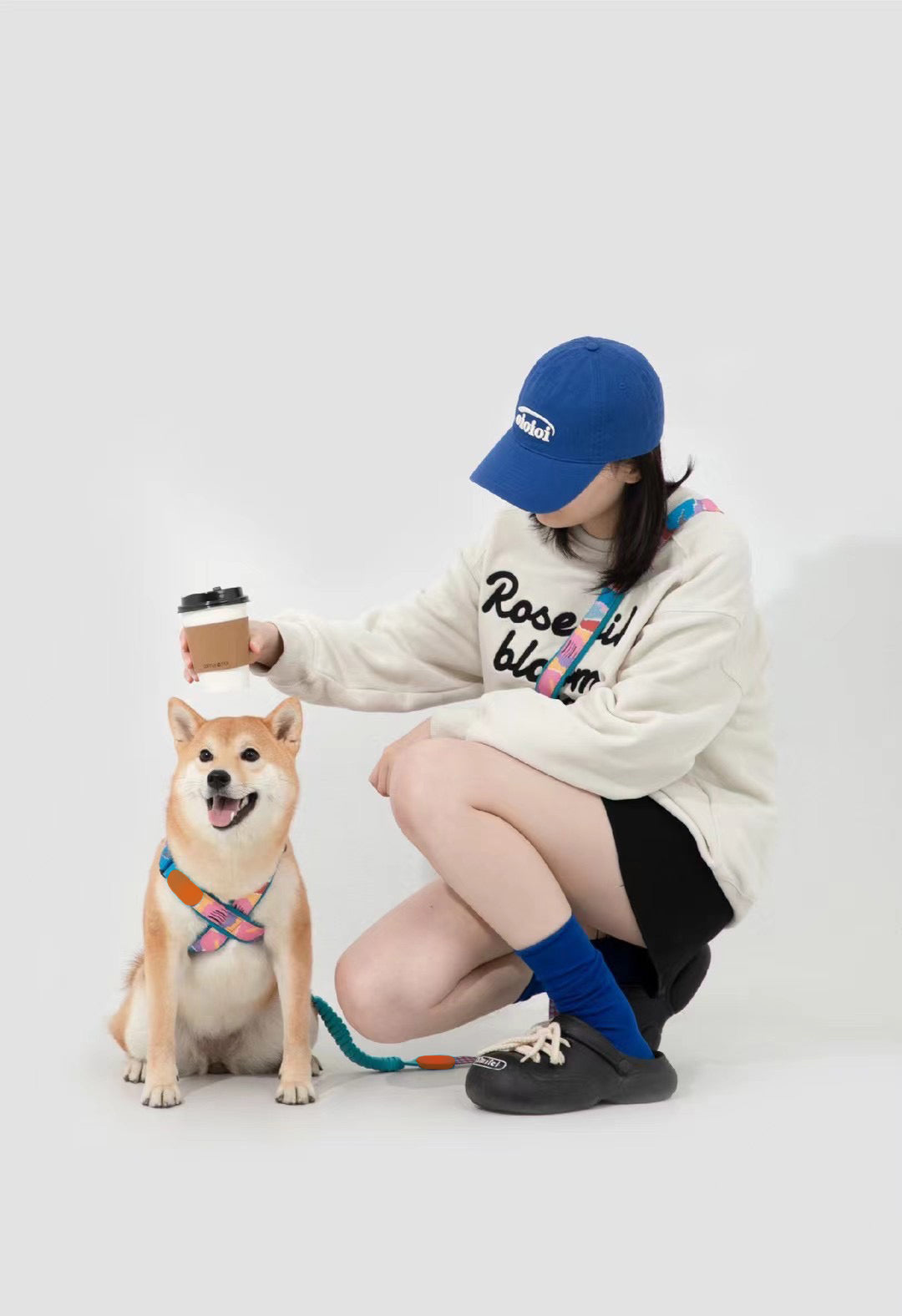 Pawsitivity's Multifunction Dog Leash and Harness Set. Including a Hands-Free multifunctional Dog Leash and a matching X-shape Dog Harness. Perfect for Active Dog Walking. Explore now at Pawsitivity, making your dog walks a breeze. Shop Now!