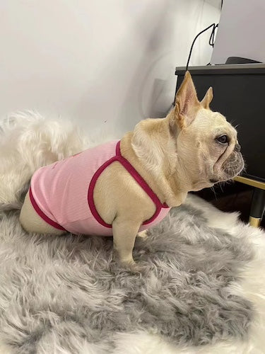 Shop Pawsitivity's Handcrafted Dog & Cat Shirt to elevate your pet's summer wardrobe. Design for both fashion and comfort, Order Yours Today!