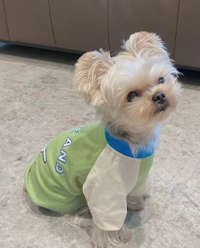 Pawsitivity's Stylish Dog and Cat T-shirt. Featuring a scooter dog print on the centre, give it chic look. Dress your furry friends in trendy and fashionable outfits. Shop Now!