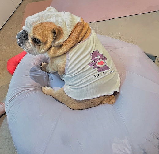 Shop Pawsitivity's Handcrafted Dog & Cat Shirt to elevate your pet's summer wardrobe. Design for both fashion and comfort, Order Yours Today!