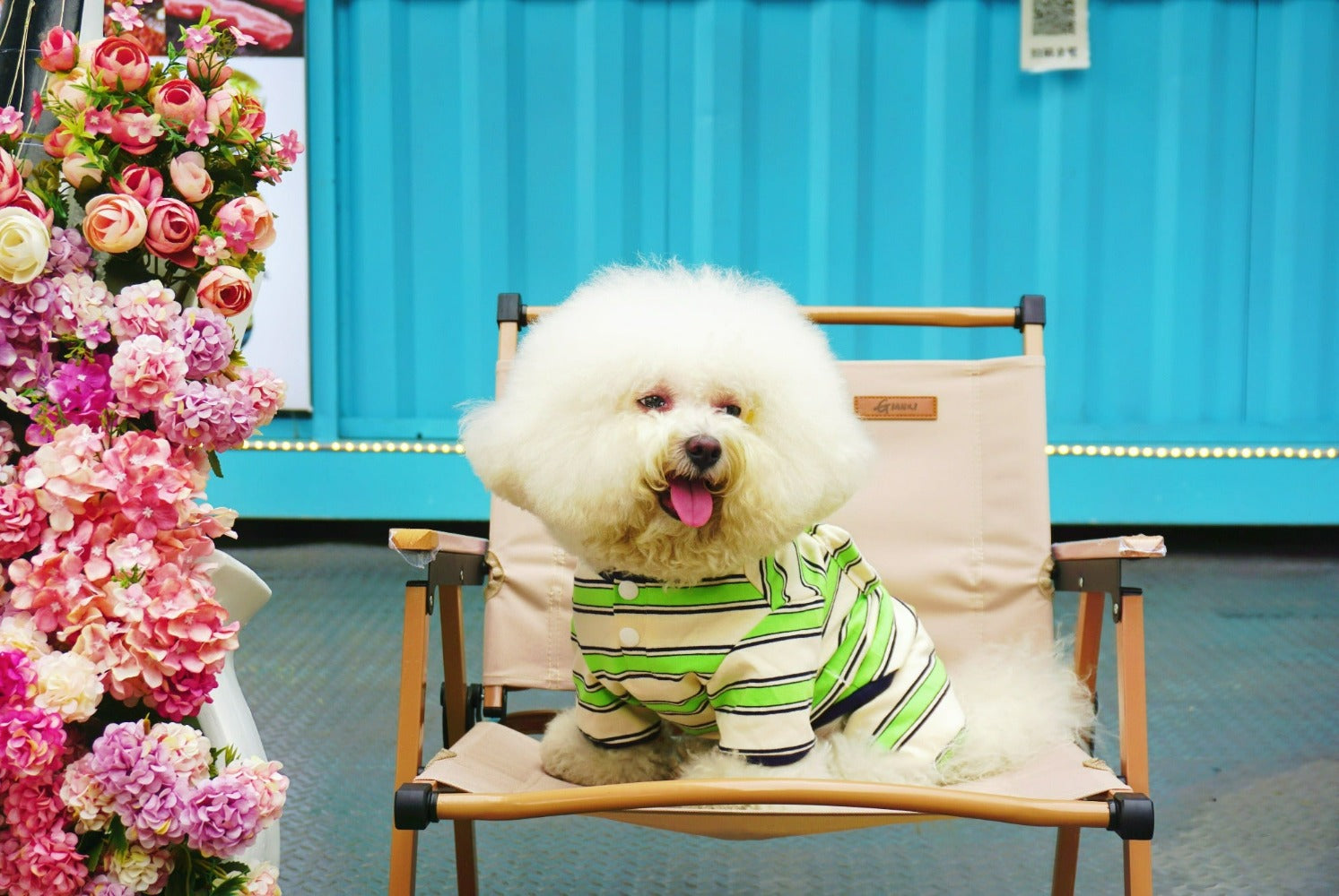 Introducing Pawsitivity's Quality Dog Outfits - This dog stripe shirt is inspired by the greatest art piece. Making your pets stand out of the crowd. Introducing Pawsitivity's Quality Dog Outfits - This dog stripe shirt is inspired by the greatest art piece. Making your pets stand out of the crowd. 