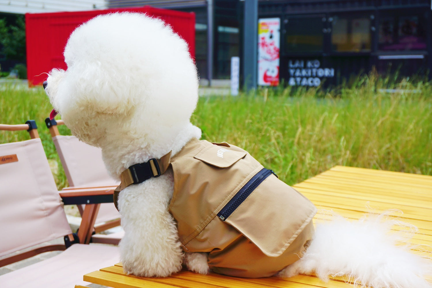 Introducing Pawsitivity's High-end Dog Apparel - This dog overall keeps your dog safe and stylish in all adventures. Upgrade your furry friends style game with Pawsitivity's stylish and quality pet outfits. Shop Now!