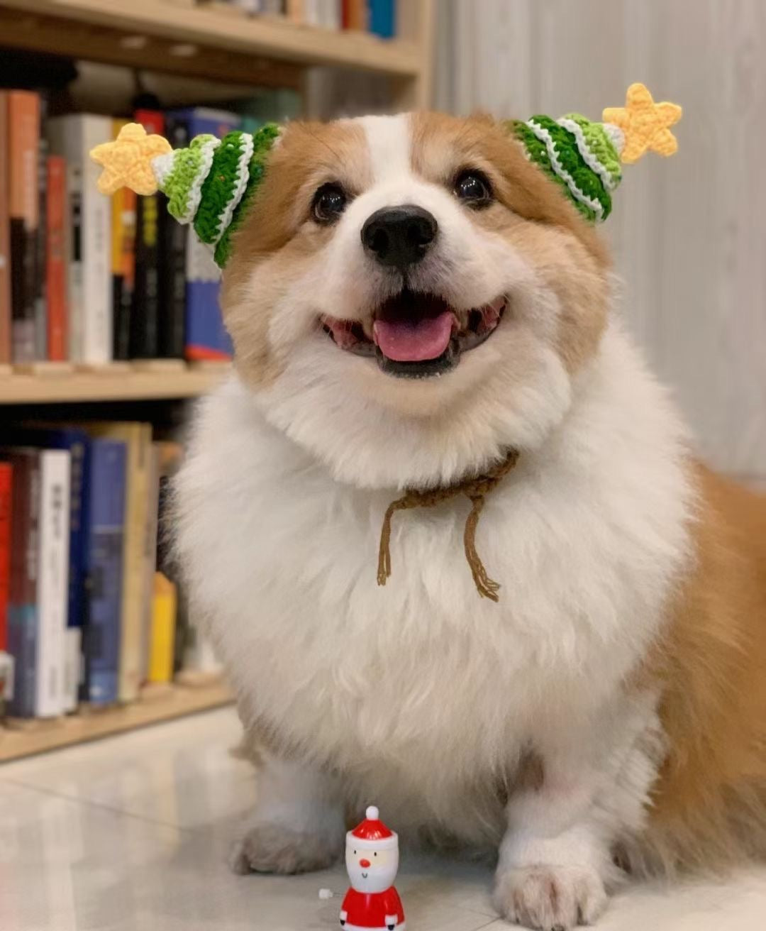 Handmade Knitwear for Dogs and Cats