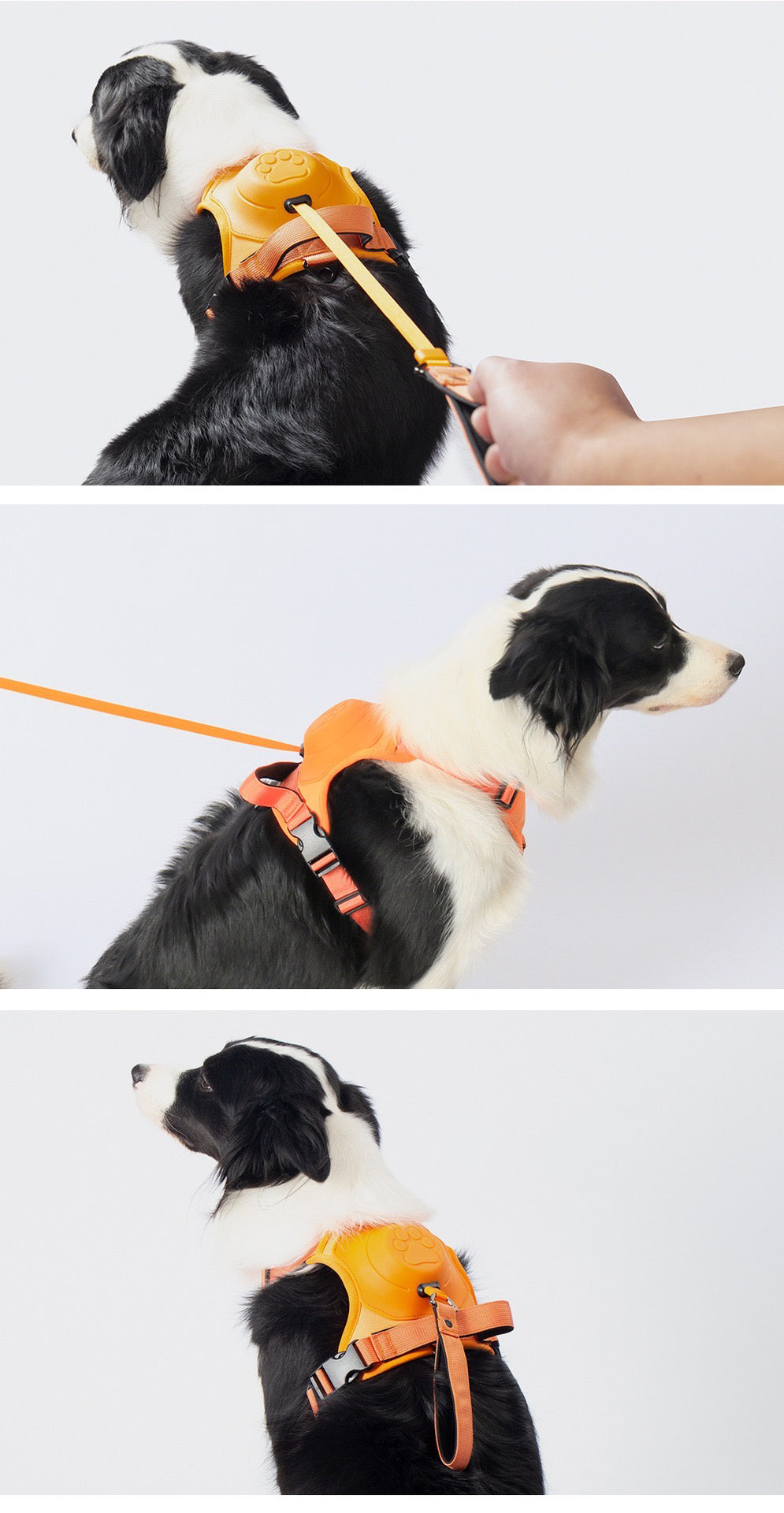 Retractable Dog Leash and Harness Set