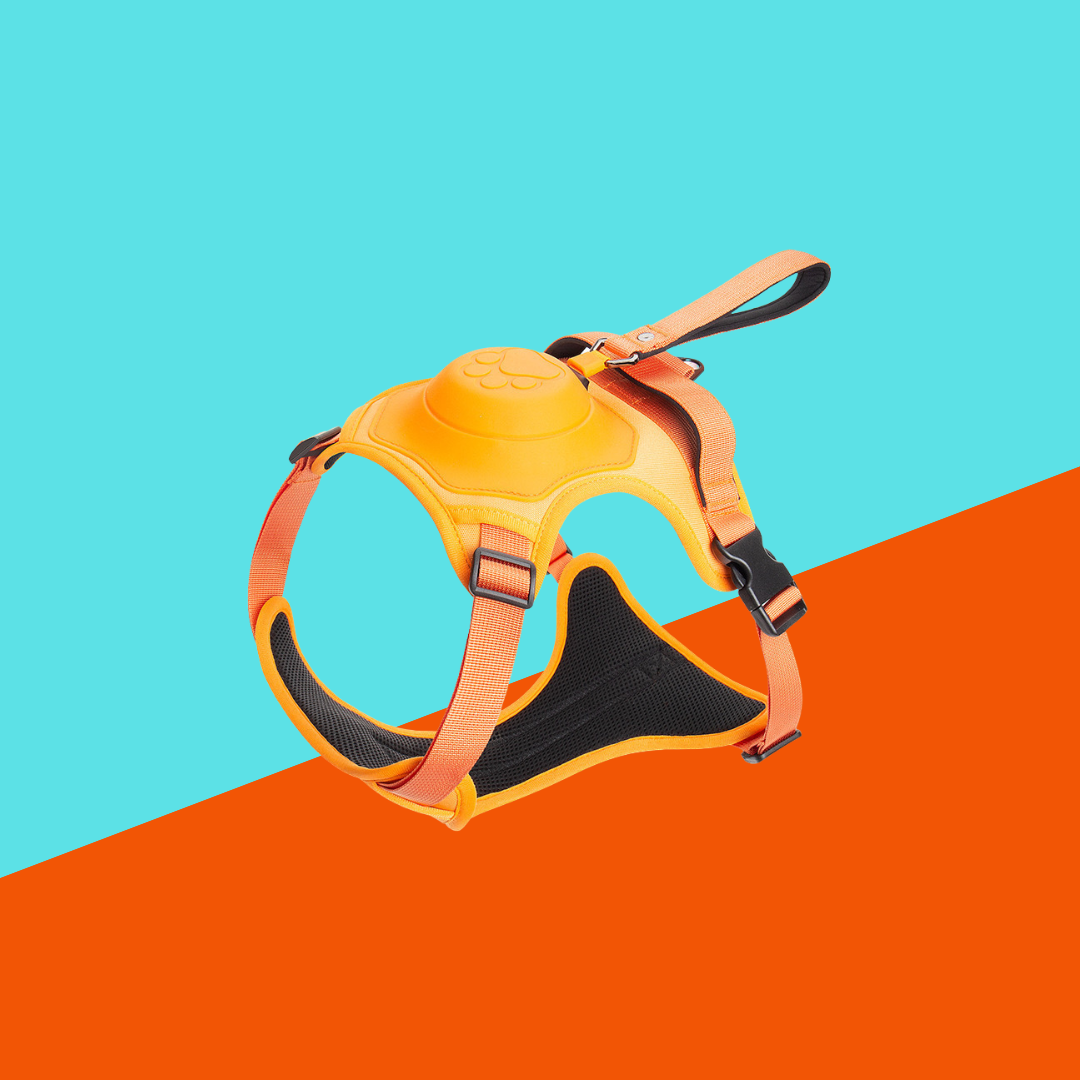 Retractable Dog Leash and Harness Set