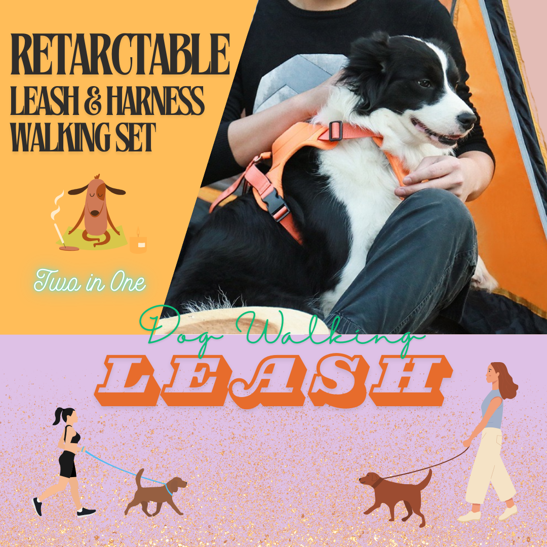 Retractable Dog Leash and Harness Set