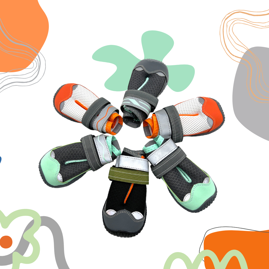 Pawsitivity Breathable Dog Shoes, Summer