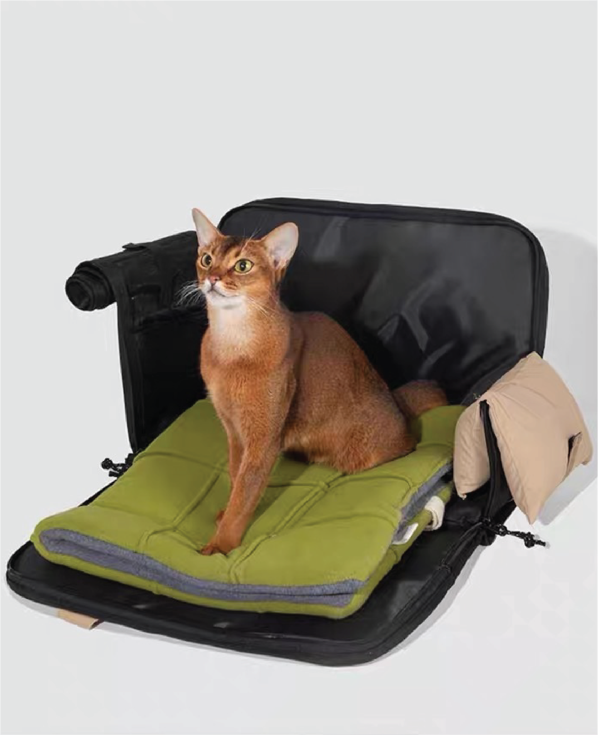 Pawsitivity's Pet Carrier: Indulge your pet in comfort and convenience with our Airline-compliant travel bag for dogs and cats. The spacious opening ensures easy entry and exit. The bottom is supported with a removable fiber board for excellent support; Crafted from waterproof, scratch-resistant and premium-grade nylon. Shop Now!
