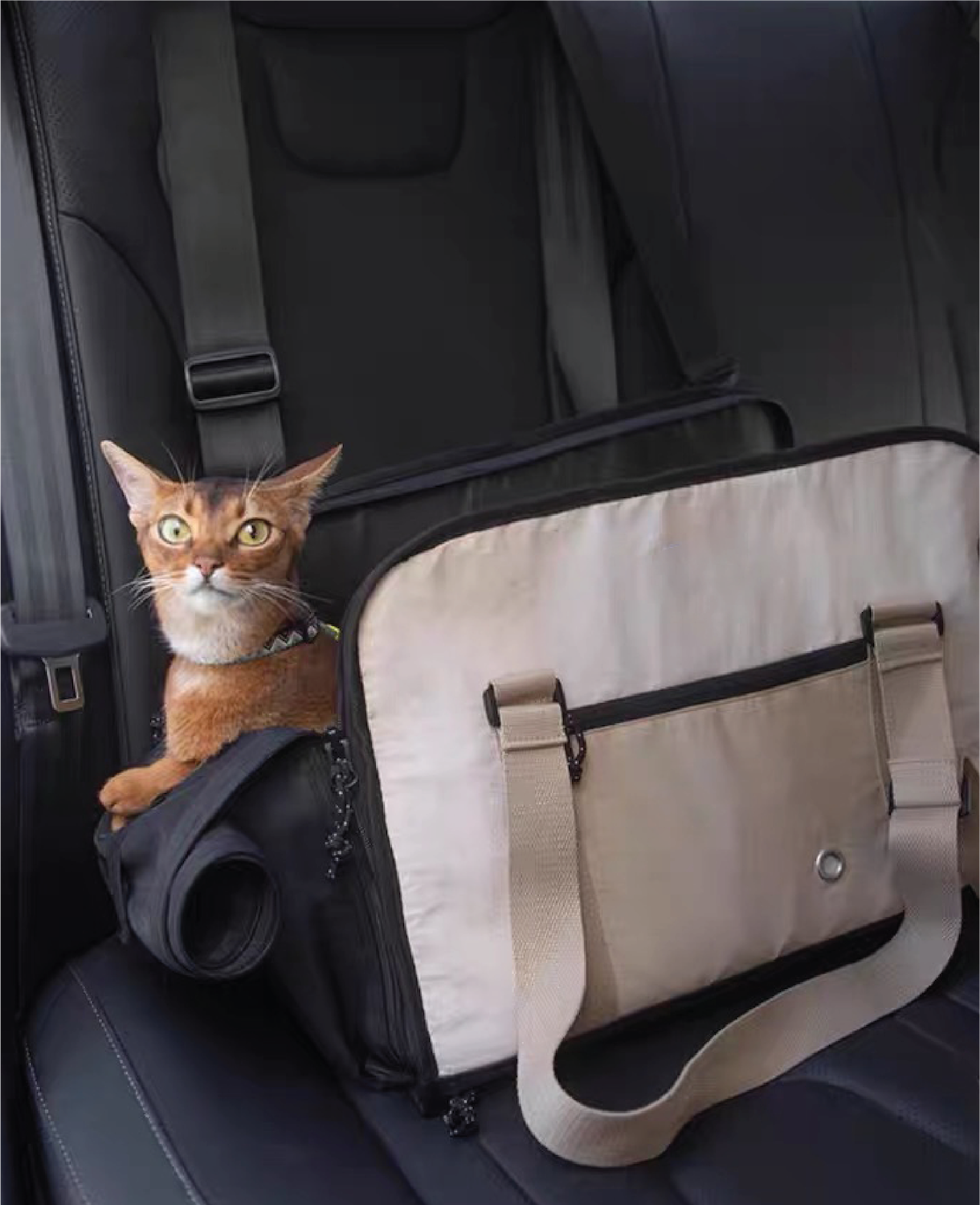 Pet Carrier, Airline-compliant, Car Seat and Travel Bag