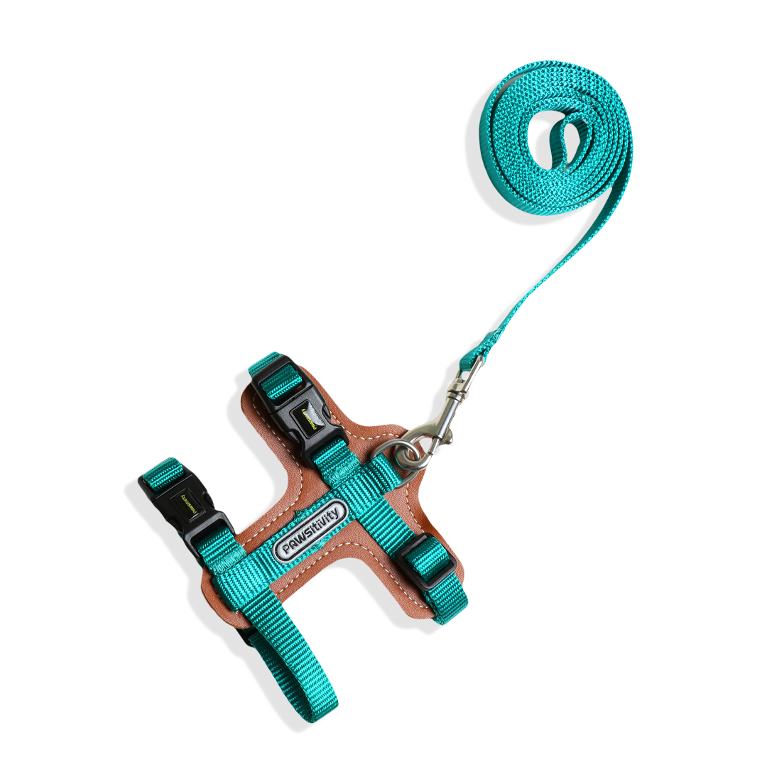Pawsitivity's Cat Harness and Leash Set in Teal Green - Leather Element for Gentle and Comfortable Walks, Ensuring a Pleasant Experience for Your Cat.