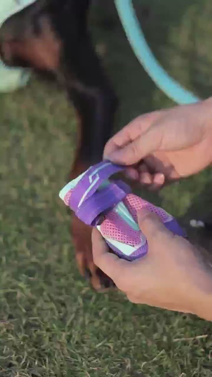 Pawsitivity Breathable Dog Shoes, Summer