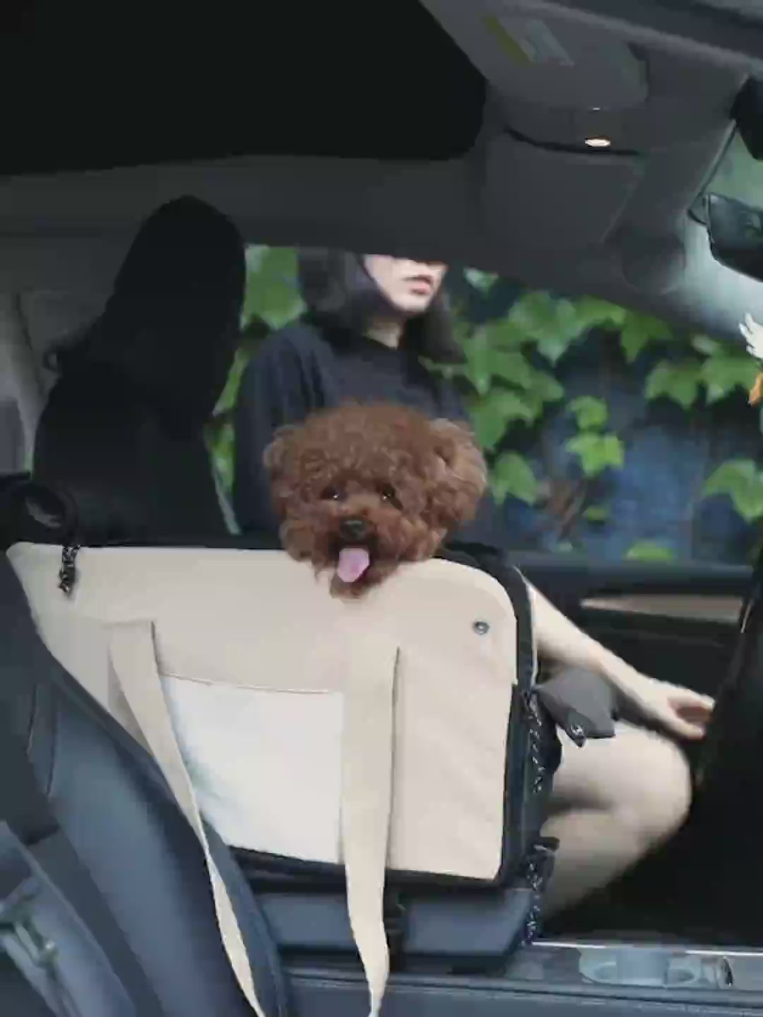 Cat & Dog Car Seat, Center Console Pet Seat