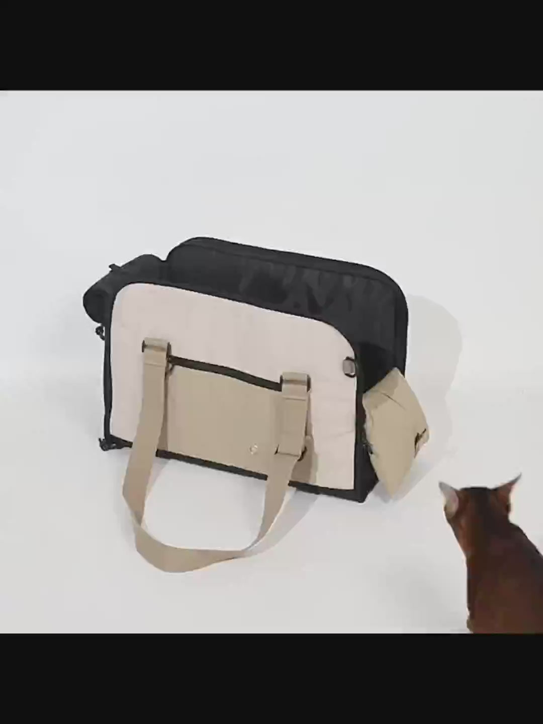 Discover Pawsitivity's Pet Carrier: Air-compliant travel bag for dogs and cats. Indulge your pet in comfort and convenience. The spacious opening ensures easy entry and exit. The bottom is supported with a removable fiber board for excellent support; Crafted from waterproof, scratch-resistant and premium-grade nylon. Shop Now!