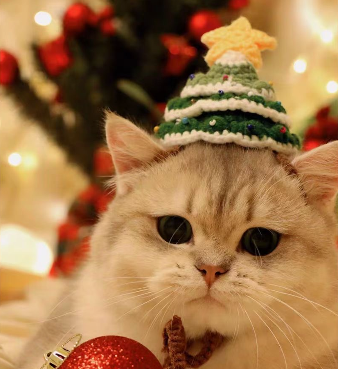 Christmas Tree Hat-wear: Wrap Your Pet in Warmth and Style with Pawsitivity Handmade Knit Accessories